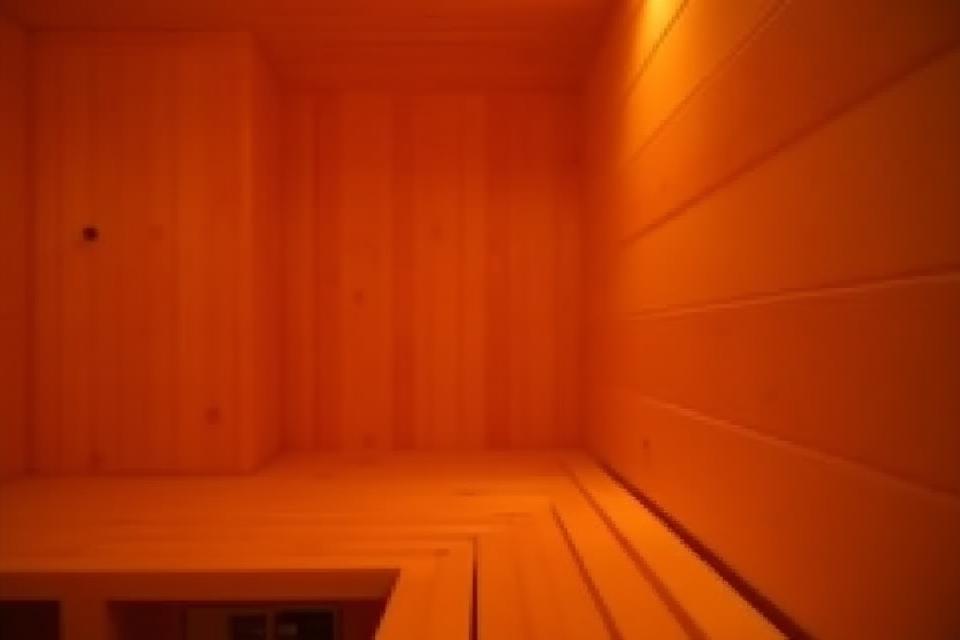 Detailed interior shot of The Laurentian Series sauna showing benches and lighting